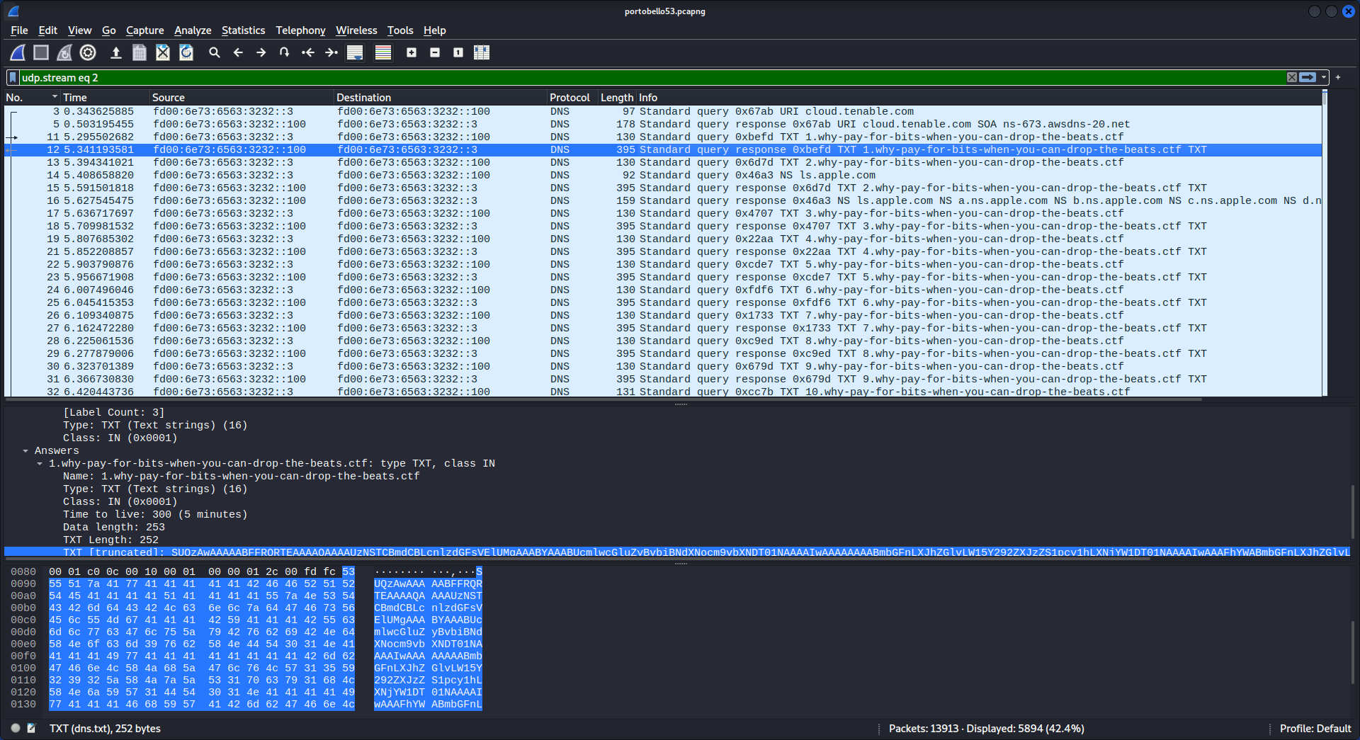 DNS stream 2