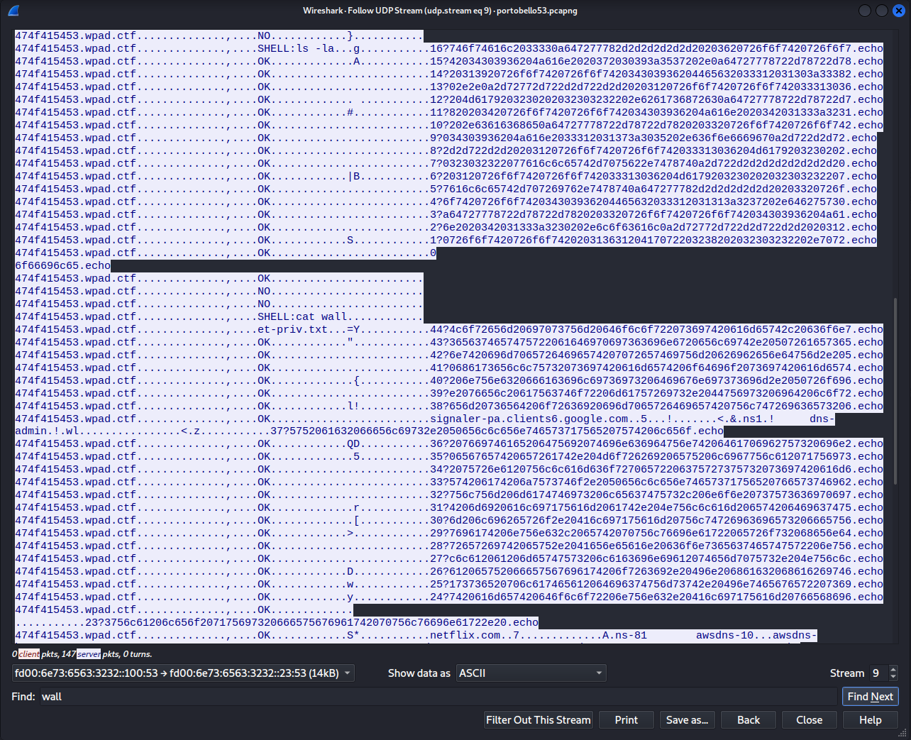 DNS stream 9, ls and cat data